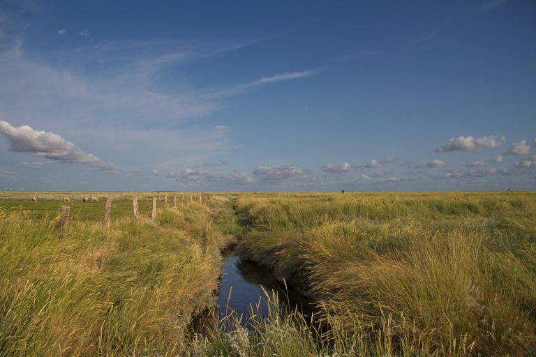 Natur – Kultur – Küste