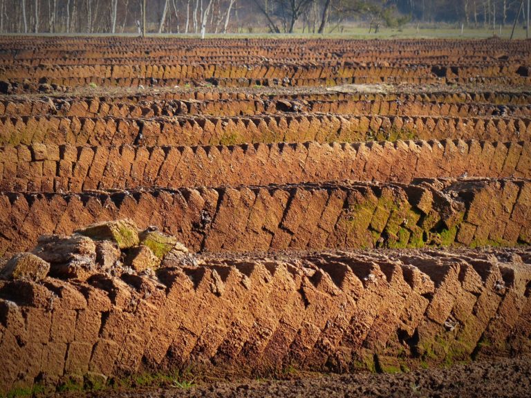 Moorschutz-Wochenende in Niedersachsen am 7. und 8. September 2013