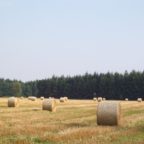 Humuswende – Wie die Landwirtschaft zum Klimaretter wird