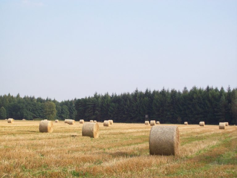 Humuswende – Wie die Landwirtschaft zum Klimaretter wird
