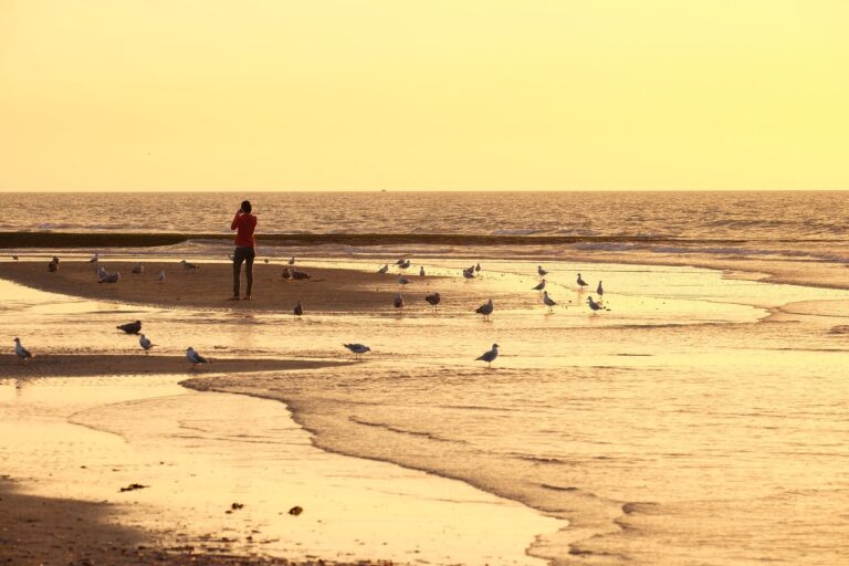 Und an den Rändern nagt das Meer