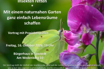 Ankündigung Vortrag "Insekten retten" am 16.10.2026