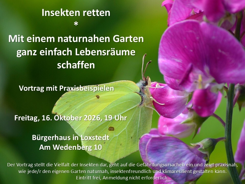 Ankündigung Vortrag 16.10.2026